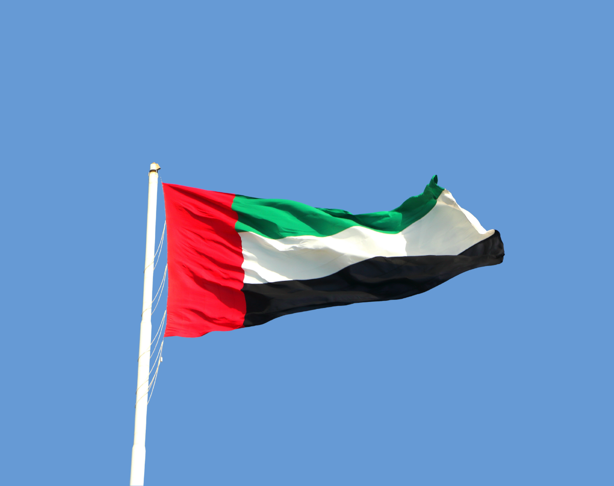 UAE flag