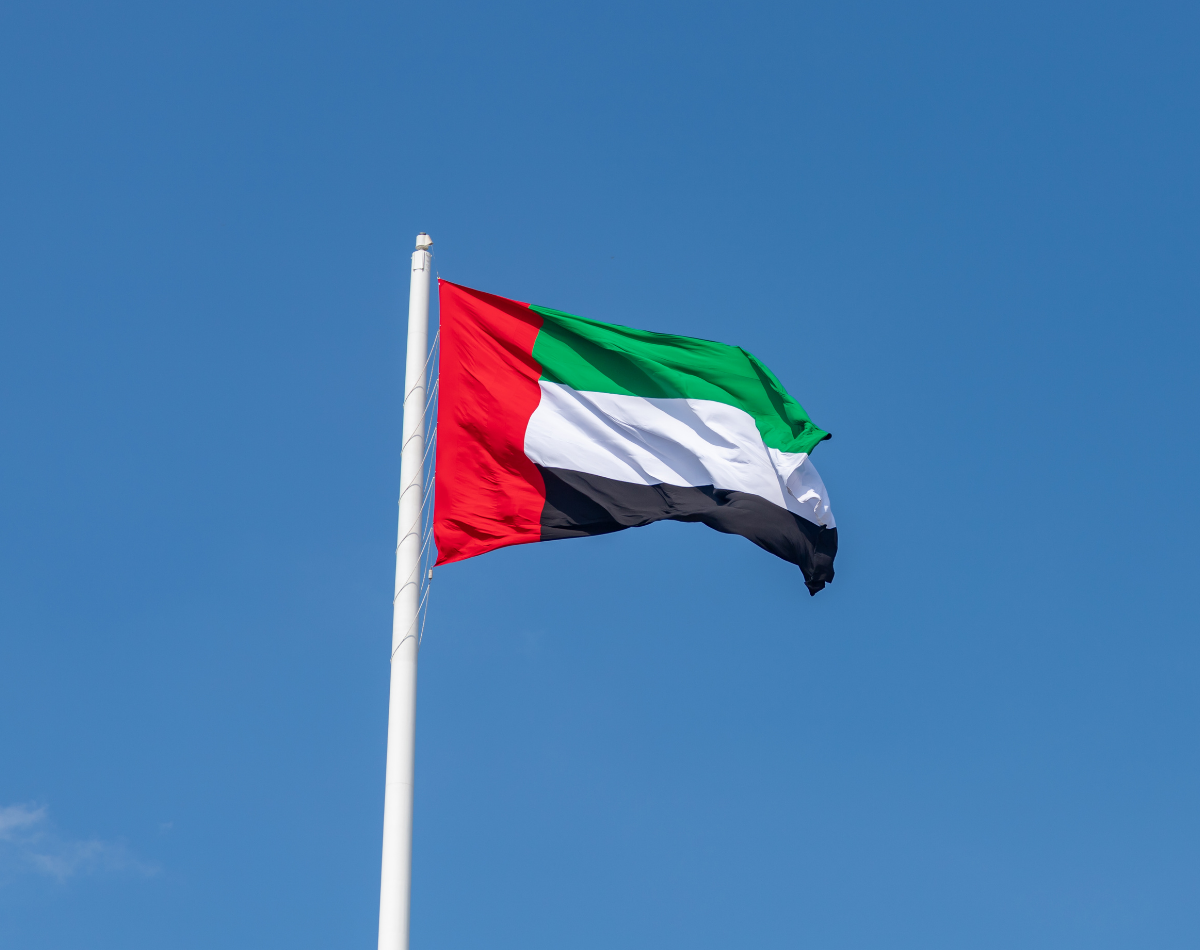 UAE flag wordpress UAE flag daribatech einvoicing